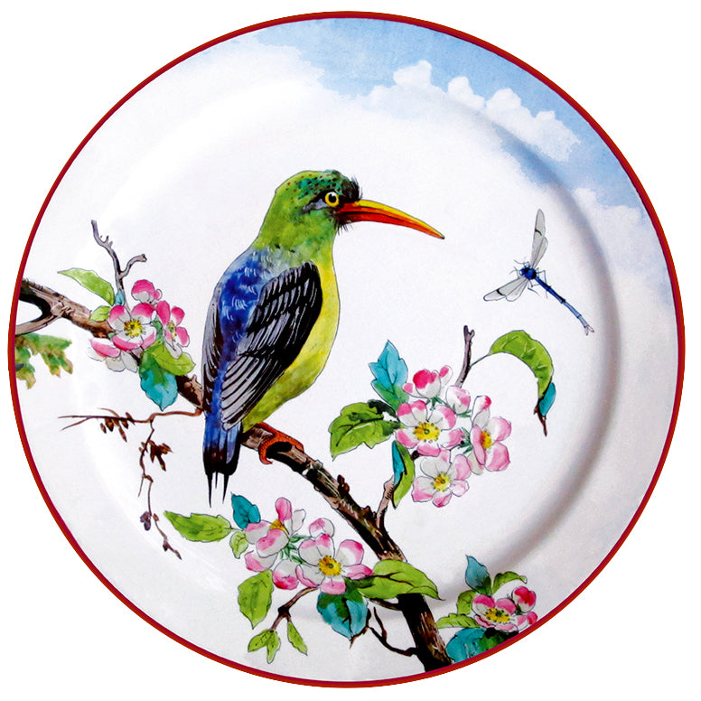 Coffret 6 Assiettes Tôle Oiseaux