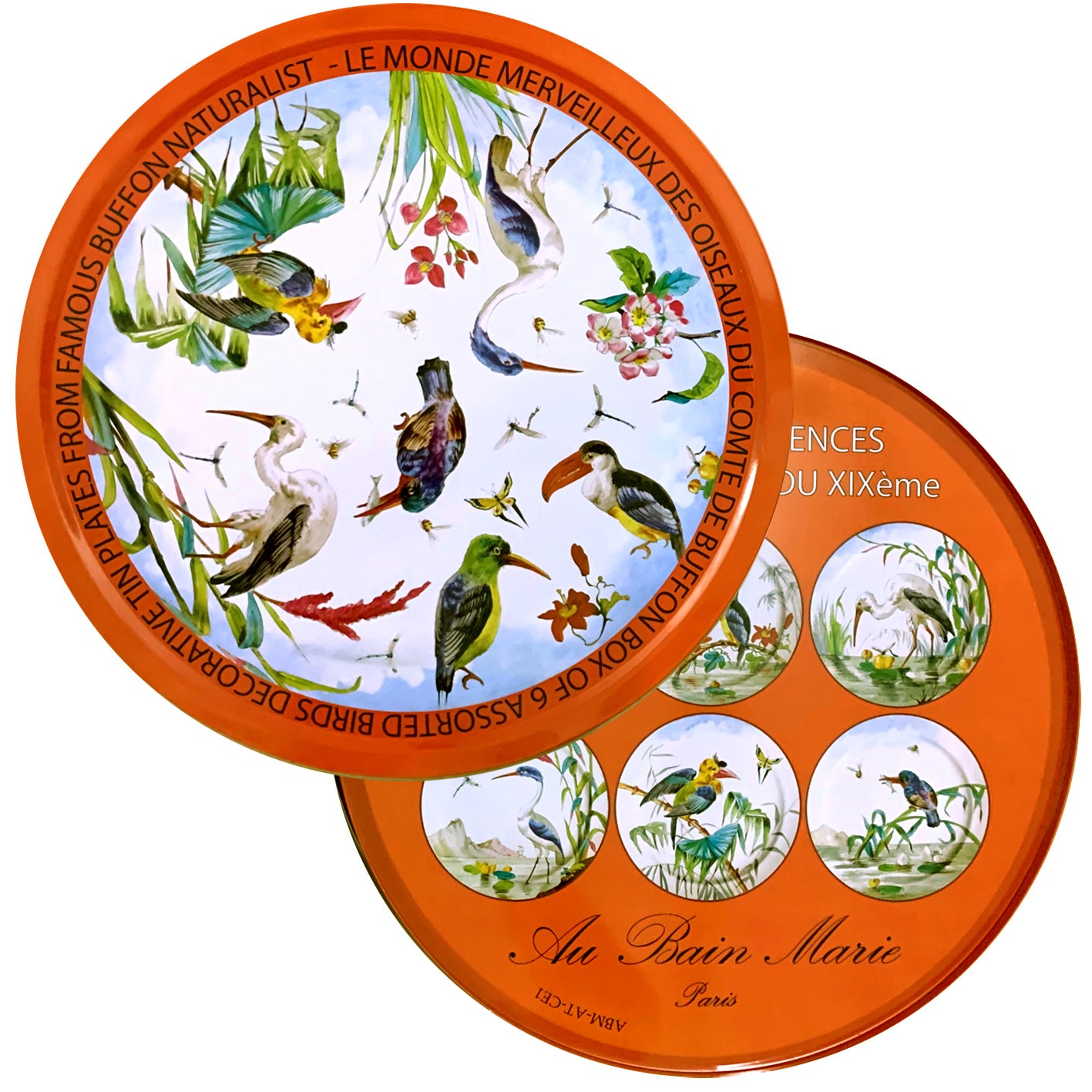 Coffret 6 Assiettes Tôle Oiseaux