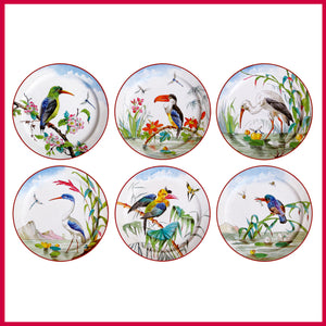 Coffret 6 Assiettes Tôle Oiseaux