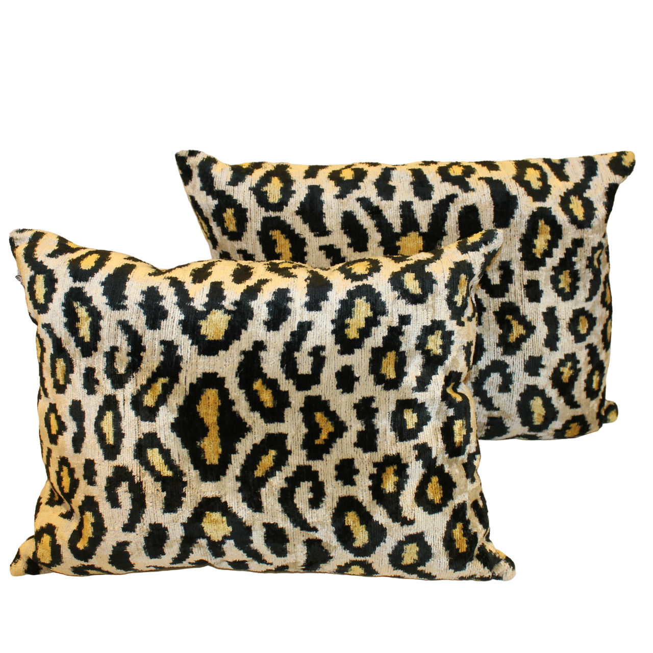 Coussin Velours de Soie